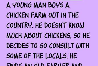 Raising Chickens