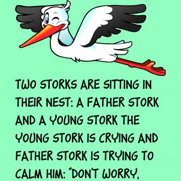 Stork Family