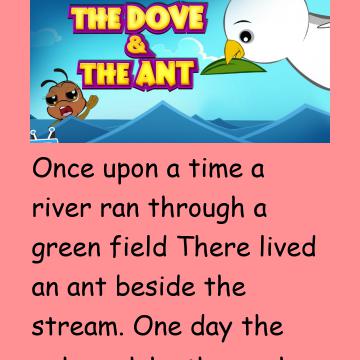 The Ant And The Dove