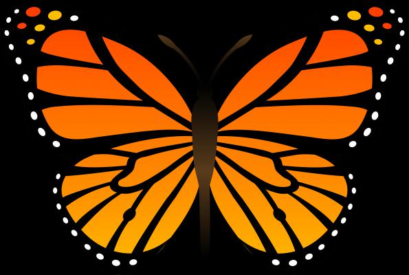 Story: The Butterfly Struggle