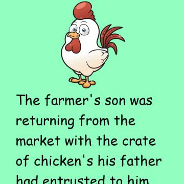 The Chickens