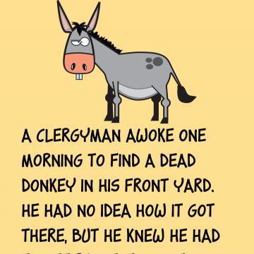 The Dead Donkey