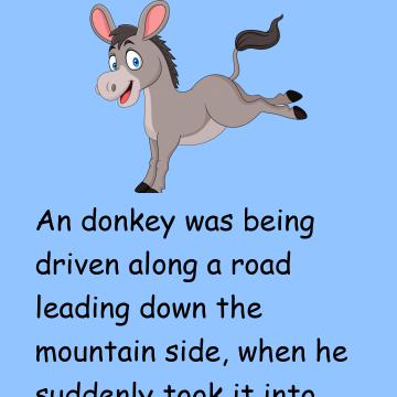 The Donkey And His Driver