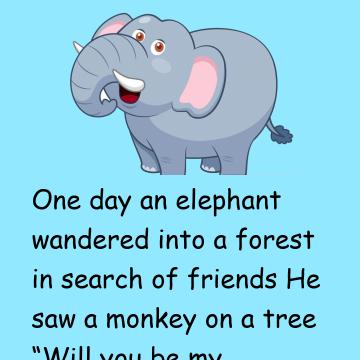 The Elephant Looking For Friends