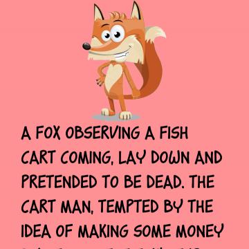 The Fox In A Cart