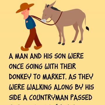 The Man, The Boy & A Donkey