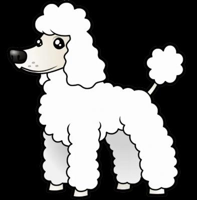 The Poodle Complains His Life Is A Mess
