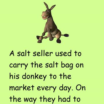 The Smart Donkey Story