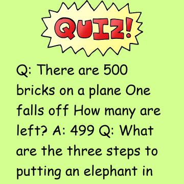 There Are 500 Bricks On A Plane