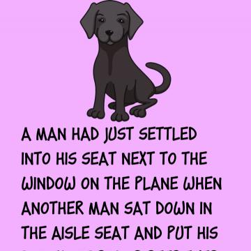 We Are Now Ruined